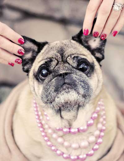 pug---pink-pearls-valentines-nails-s
